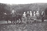 Kartoffelernte 1935